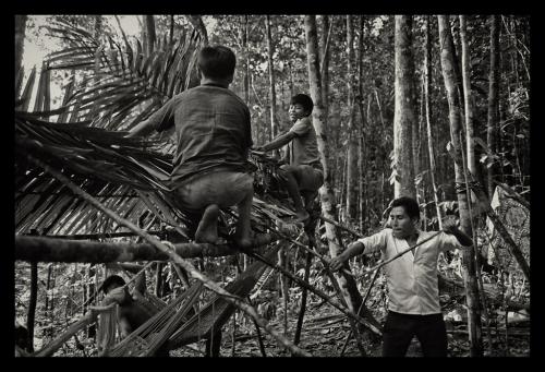 Akawaio indigenous people erecting a makeshift overnight shelter