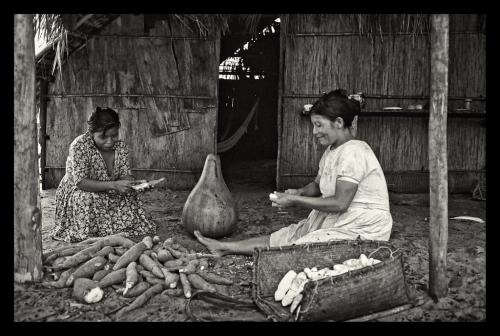 Akawaio women preparing grated bitter cassava at Maiurupai