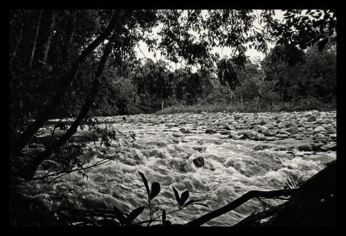 Rapids on Waruma river near Camp 4 (Alt. approx. 3,800 ft.)