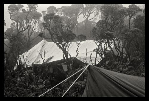 Expedition Camp 7  at approx. alt. 7000 ft. clouds blow through tent