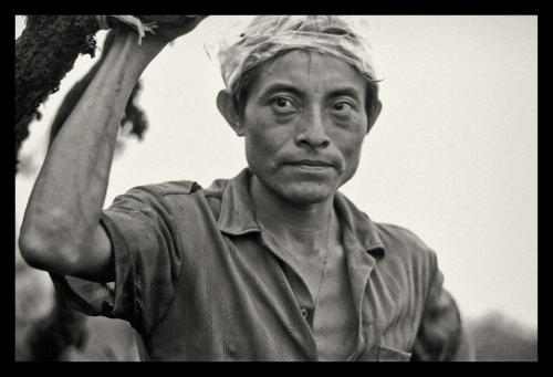 Portrait of Akawaio porter and climbers assistant named Maurice