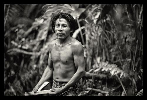 Akawaio man collects firewood in tropical rain forest