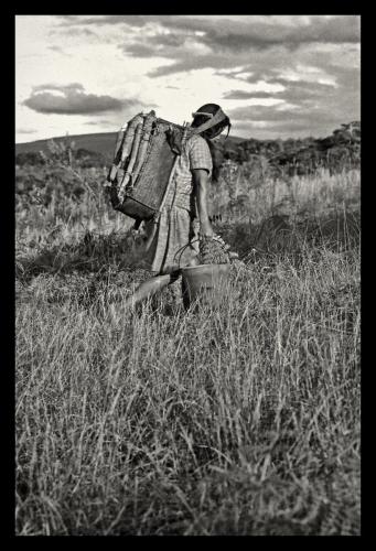 Akawaio woman carries Warashi loaded with bitter cassava roots