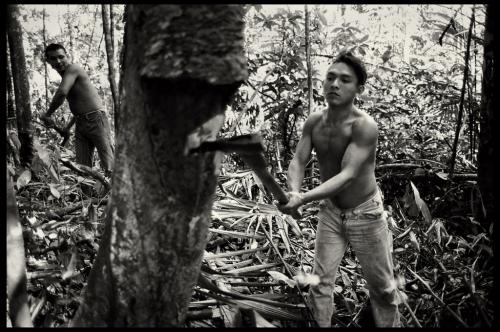 Akawaio porters prepare the site for camp in tropical rain forest