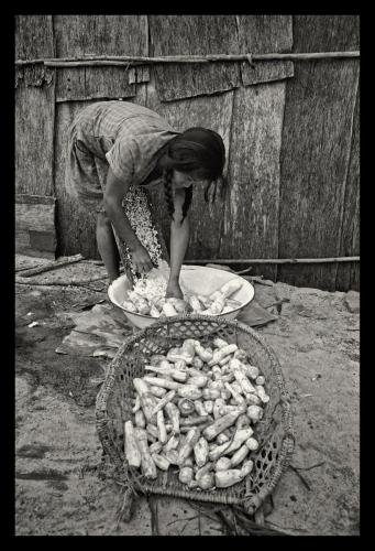 Akawaio woman preparing grated bitter cassava