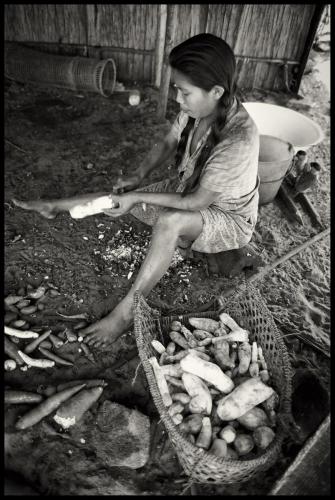 Akawaio woman removing outer skin from bitter cassava root at Maiurupai