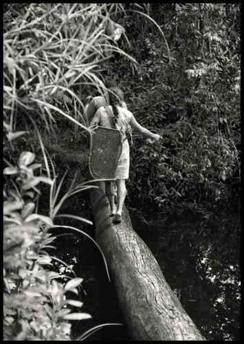 Akawaio woman with warashi negotiates a footbridge made from a tree