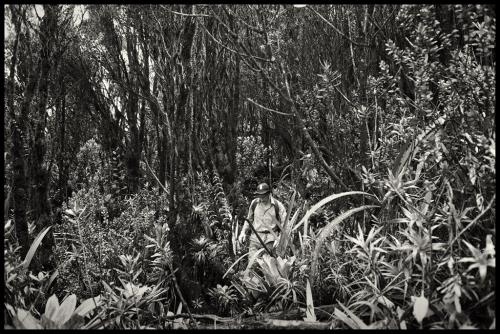 BBC film crew soundman Gordon Forsyth negotiating the slime forest